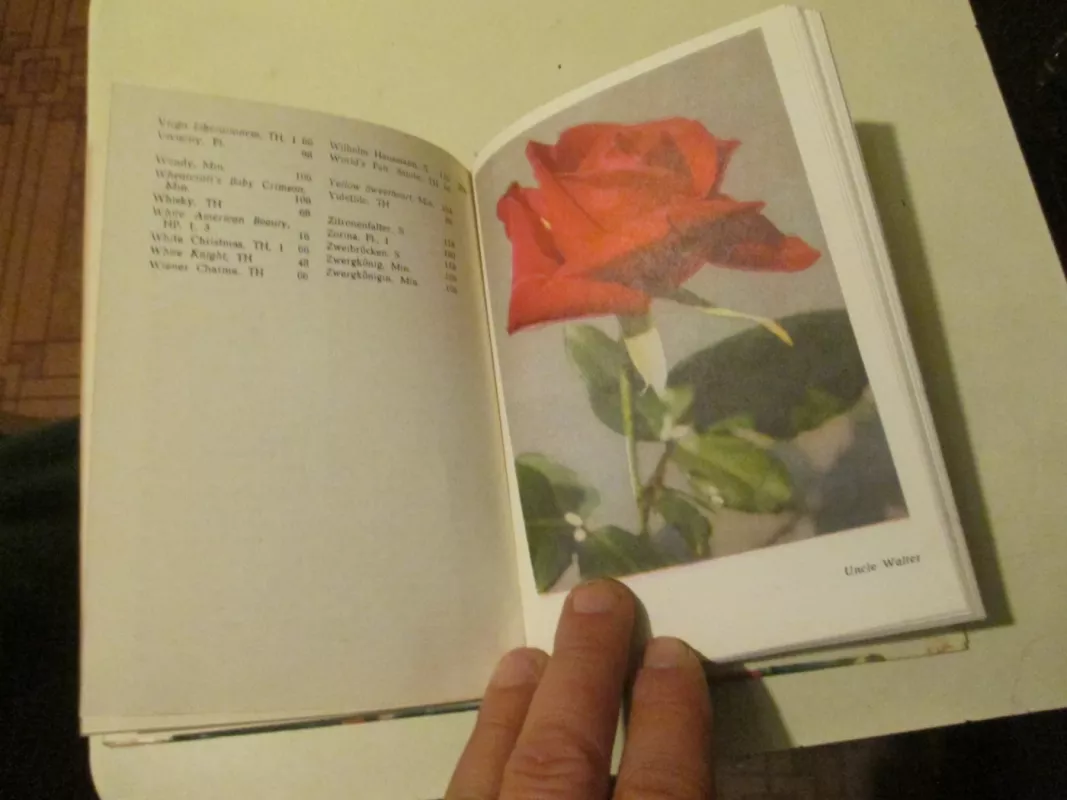 Rožės - Algirdas Puipa, knyga 5