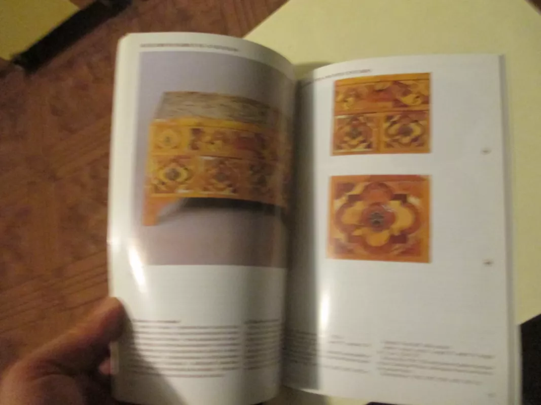 Художественный янтарь XVII — начала ХХ века - Autorių Kolektyvas, knyga 5