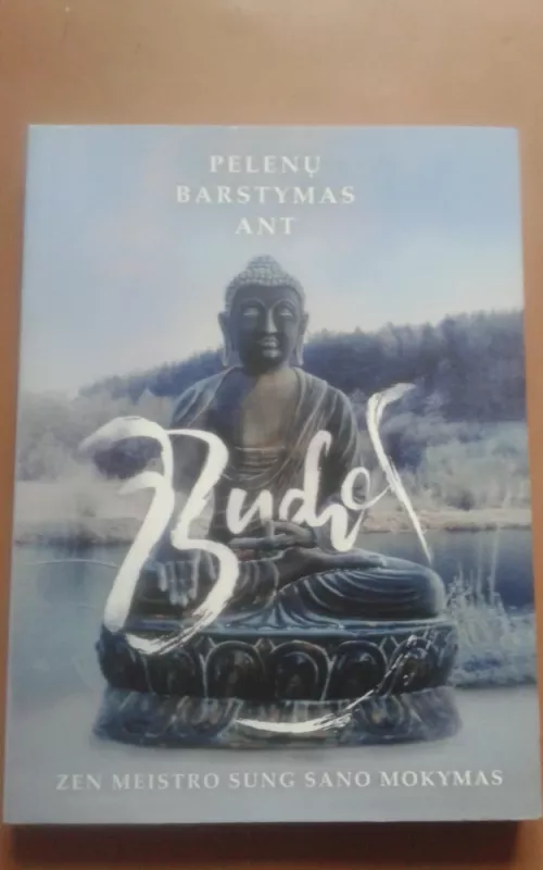 Pelenų barstymas ant Budos. Zen meistro Sung Sano mokymas - Stefenas Mitčelas, knyga 2