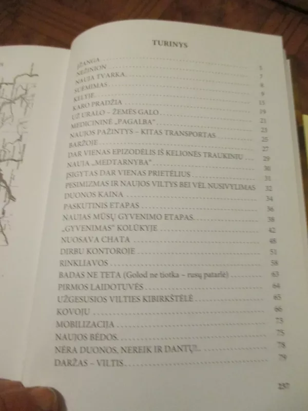 Nelaukta kelionė - Juzė Avižienytė-Žukauskienė, knyga 4