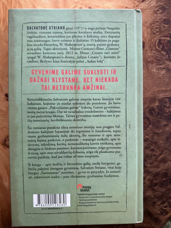 mano audra - Salvatore Striano, knyga 3