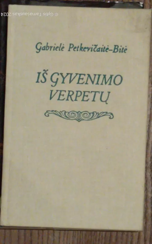 Iš gyvenimo verpetų - G. Petkevičaitė- Bitė, knyga