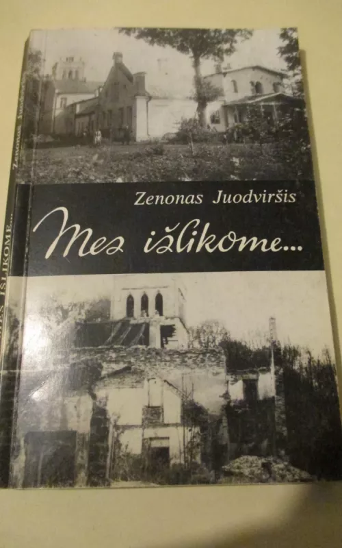 Mes išlikome... - Zenonas Juodviršis, knyga 2