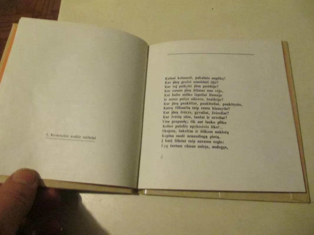 Anykščių šilelis - Antanas Baranauskas, knyga 4