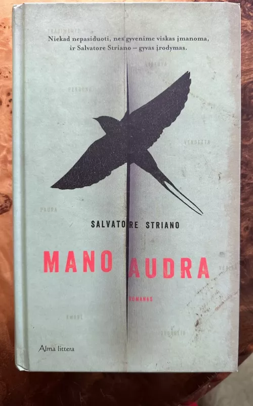 mano audra - Salvatore Striano, knyga 2