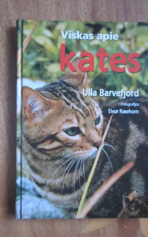 Viskas apie kates - Ulla Barvefjord, knyga 2