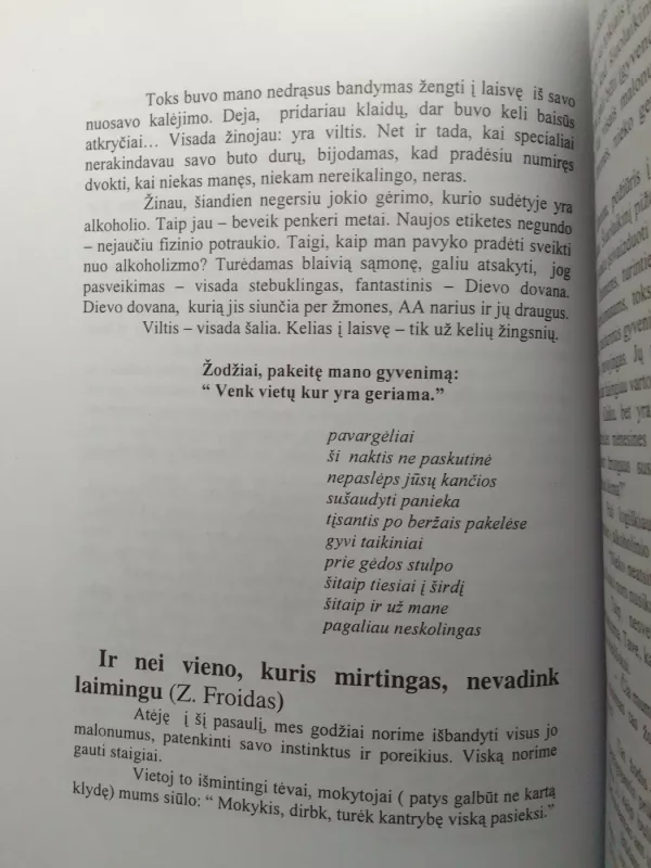 Ties bedugne - Jonas Katkevičius, knyga 6