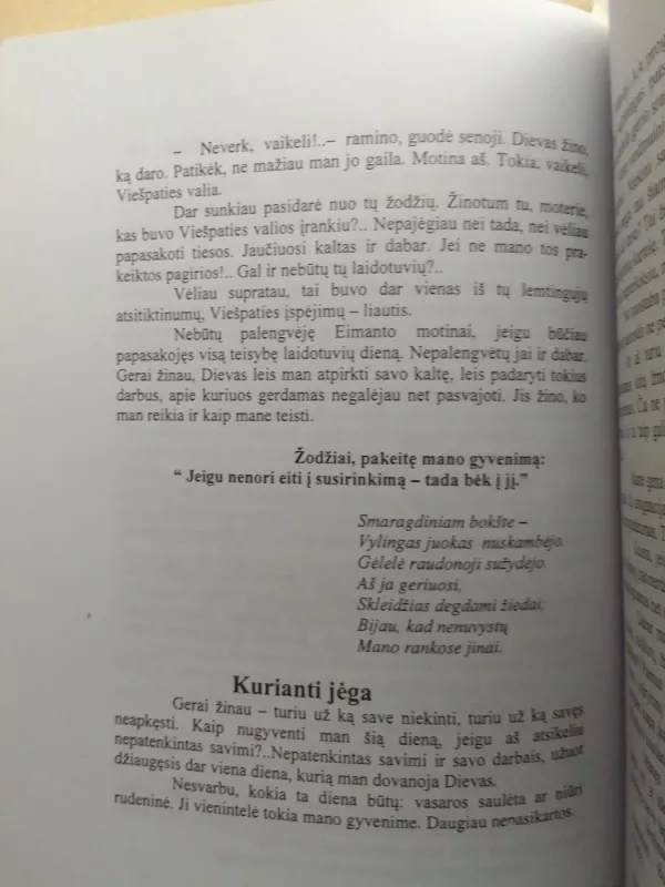 Ties bedugne - Jonas Katkevičius, knyga 5