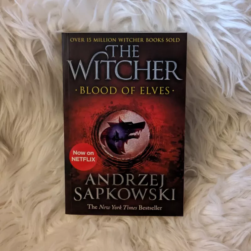 The Witcher (books 1–8) - Andrzej Sapkowski, knyga 5