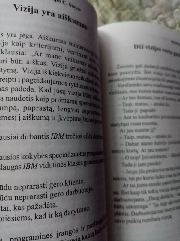 Bizonų skrydis - James Belasco, knyga 4