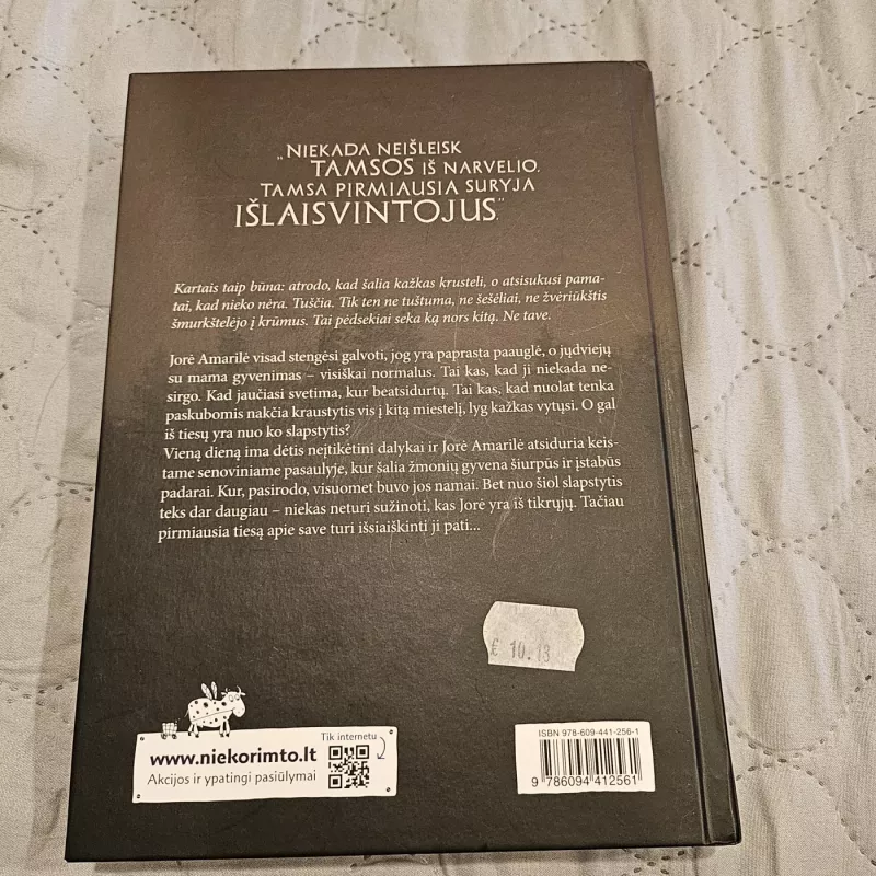 Tamsa kuri prabudo - Neringa Vaitkutė, knyga 4