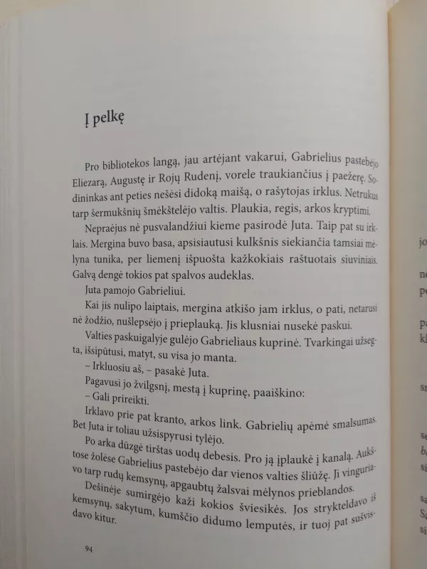 Ežeras ir kiti jį lydintys asmenys - Donaldas Kajokas, knyga 6