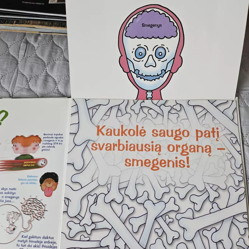 Didžioji knyga vaikams. Žmogaus kūnas - Autorių Kolektyvas, knyga 4