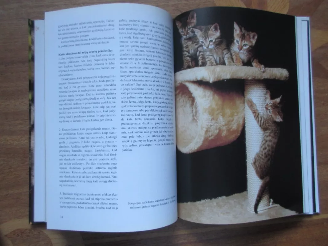 Viskas apie kates - Ulla Barvefjord, knyga 4