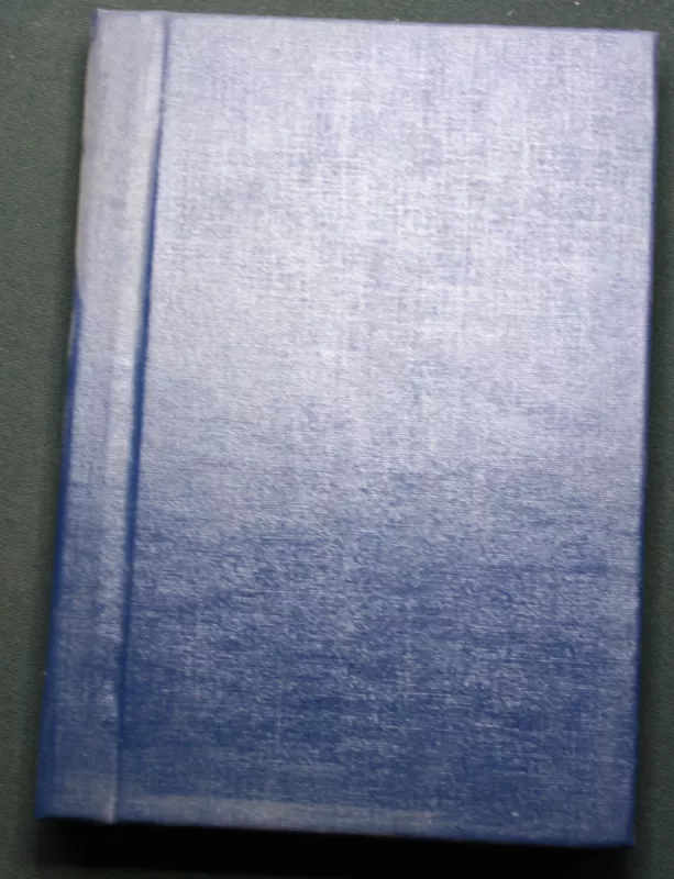 Vaižganto raštai II tomas, 1922 - Autorių Kolektyvas, knyga 3