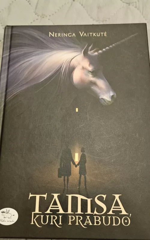 Tamsa kuri prabudo - Neringa Vaitkutė, knyga 2