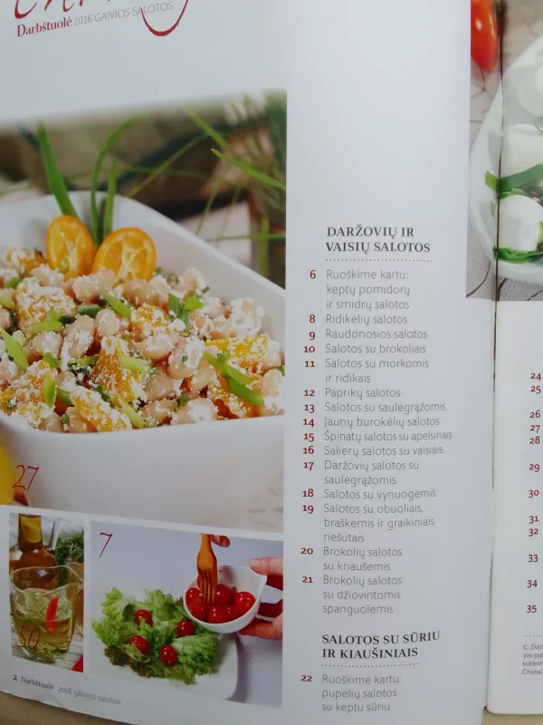 Gaivios salotos - Autorių Kolektyvas, knyga 4