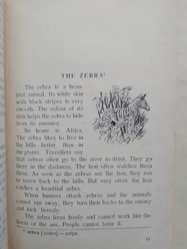 Stories about animals and birds you know - Autorių Kolektyvas, knyga 5