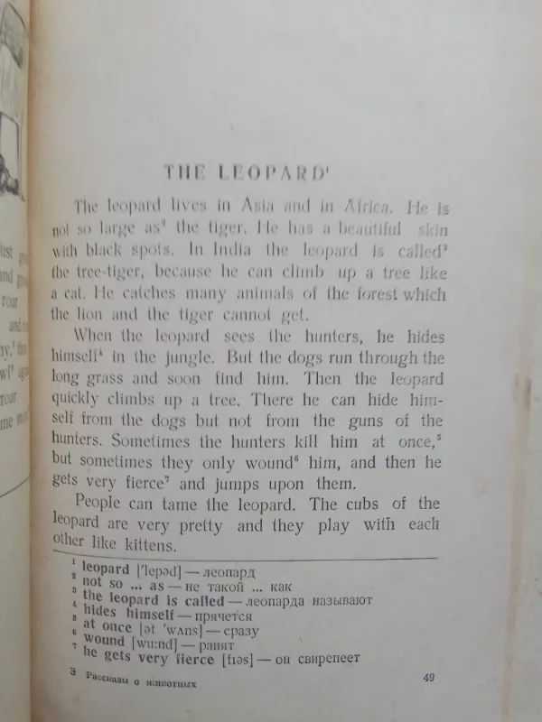 Stories about animals and birds you know - Autorių Kolektyvas, knyga 6