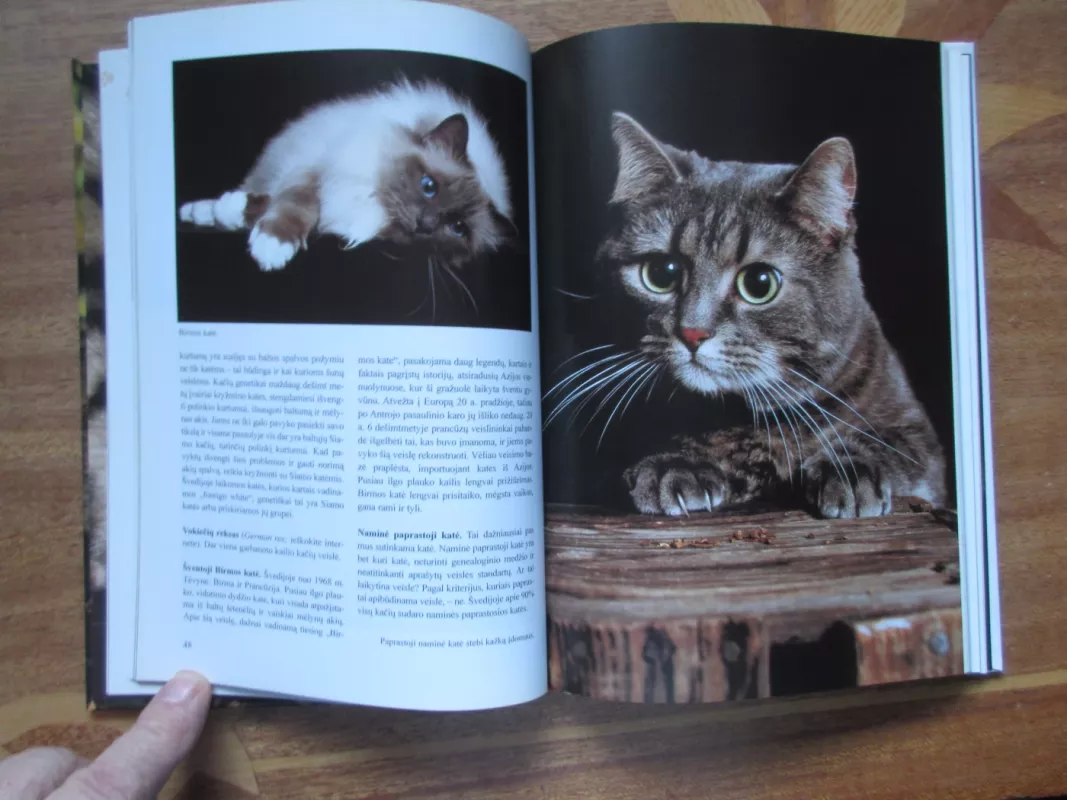 Viskas apie kates - Ulla Barvefjord, knyga 3