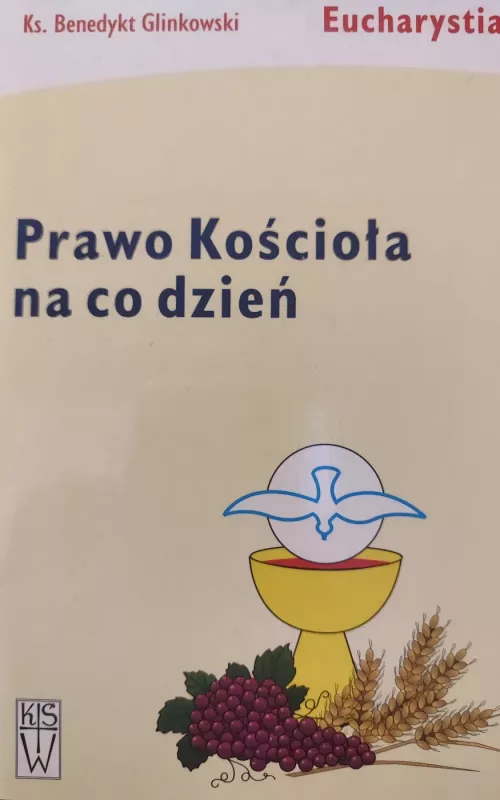 Prawo Kościoła na co dzień - Ks. Benedykt Glinkowski, knyga