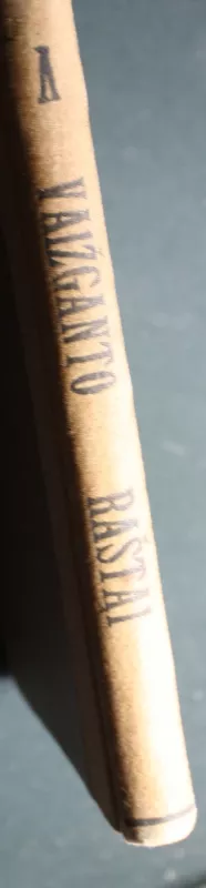 Vaižganto raštai V tomas, 1922 - Autorių Kolektyvas, knyga 5