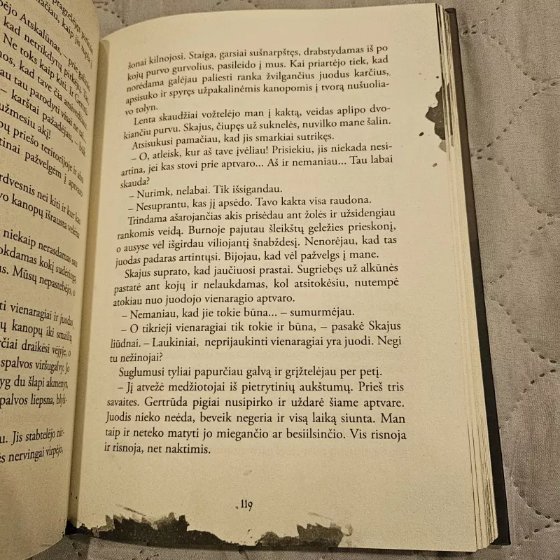 Tamsa kuri prabudo - Neringa Vaitkutė, knyga 3