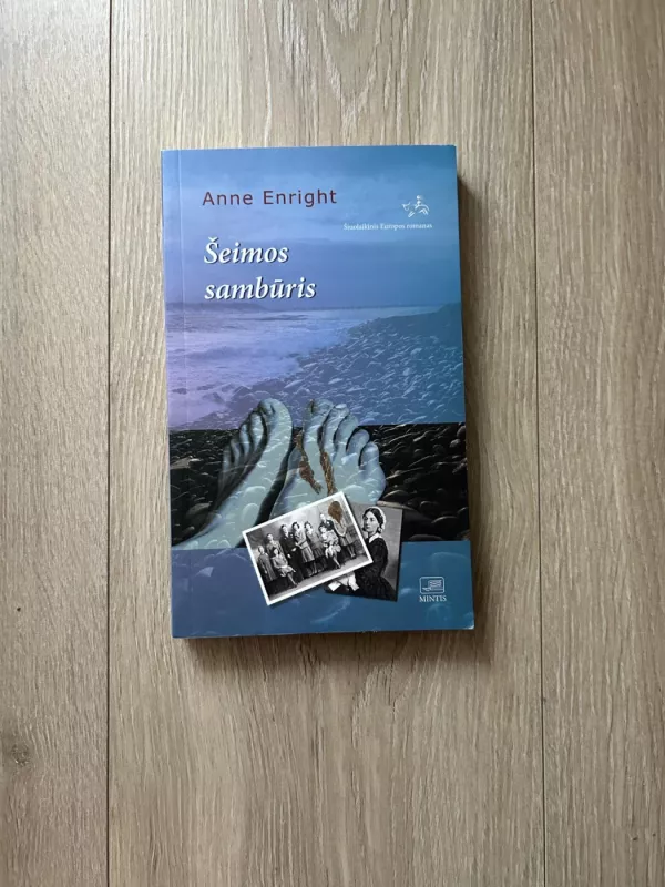 Šeimos sambūris - Anne Enright, knyga