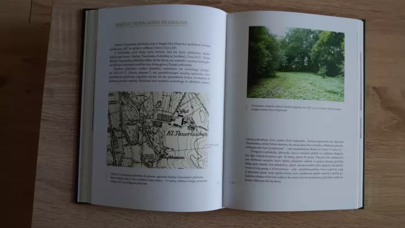 Klaipėdos istoriniai parkai ir želdynai - Kęstutis Demereckas, knyga 4