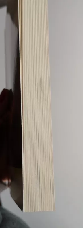 Jei vikšras gali skristi, galiu ir aš - Alvin Day, knyga 3