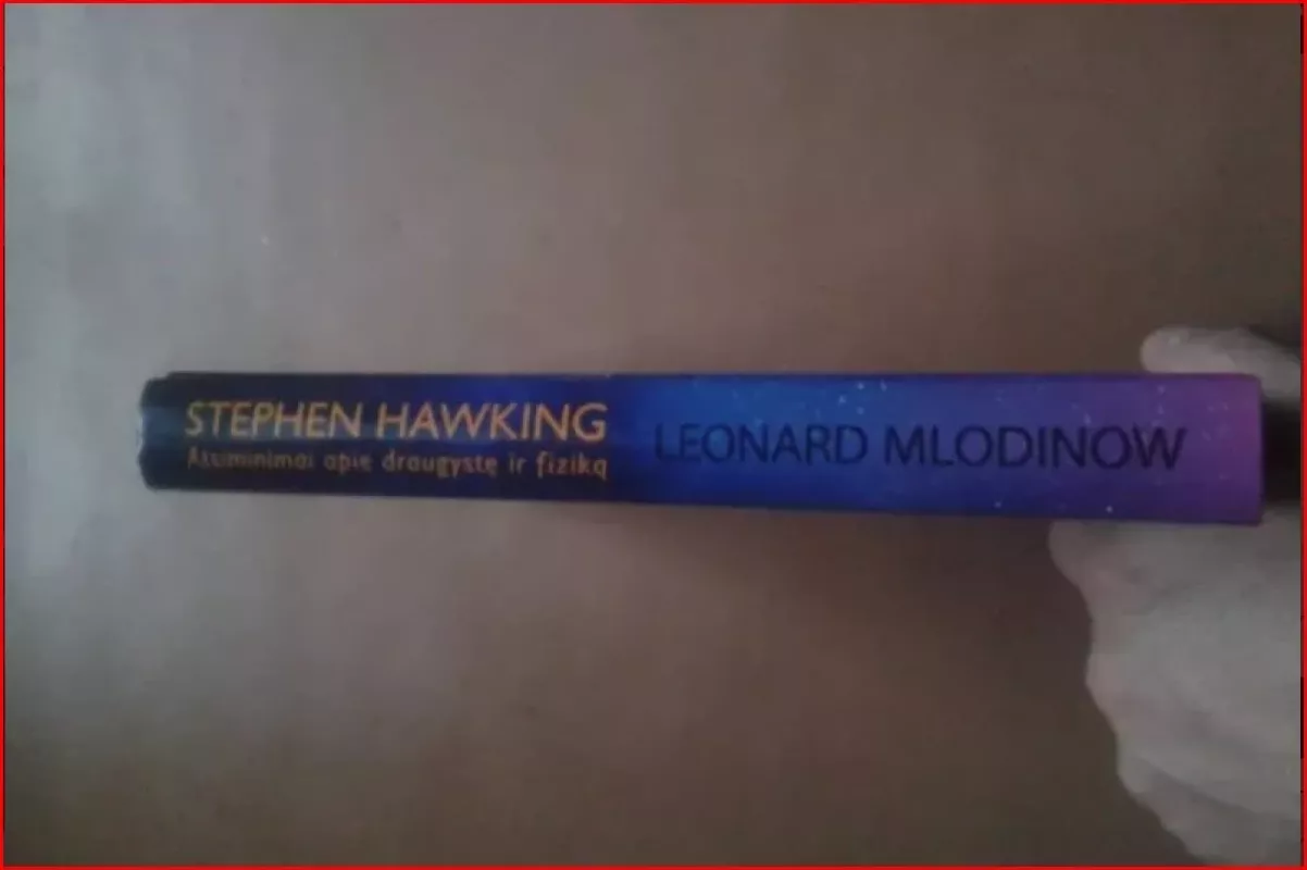 Stephen Hawking: atsiminimai apie draugystę ir fiziką - Leonard Mlodinow, knyga 3