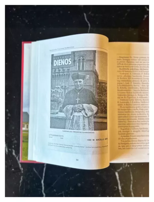 Kardinolas Vincentas Sladkevičius. Mokėkime laukti ir augti - Juozas Vercinkevičius, knyga 3