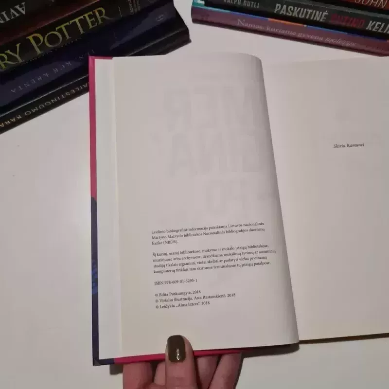 Mergina po vidurnakčio - Edita Puskunigytė, knyga 4