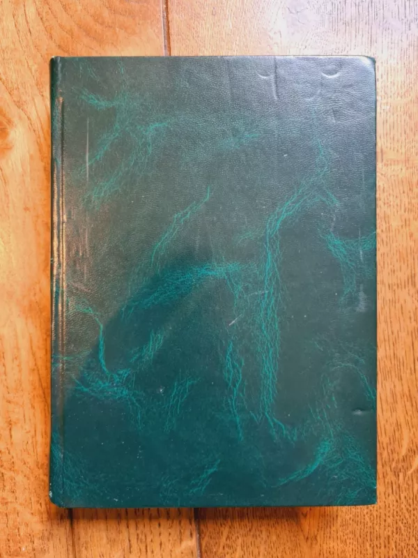 Anglų-lietuvių kalbų statybos terminų žodynas - A. Kudzys, knyga 2