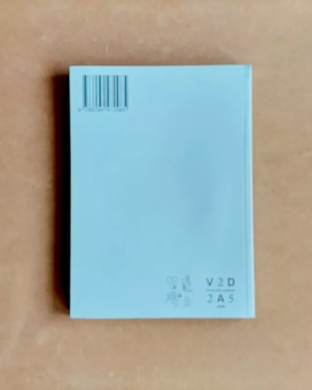 VDA interviu: meno mokykla/VAA interview: art school - Alberta Vengrytė ir kiti, knyga 3