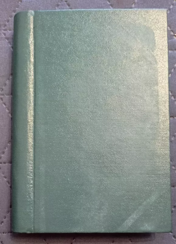 Našlaitės dalia - Marija Radzevičiūtė, knyga 3