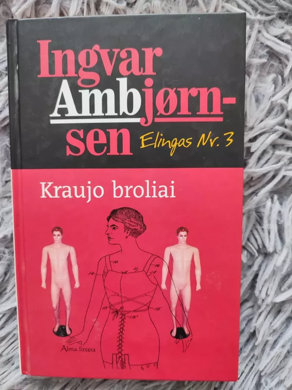 Kraujo broliai - Ingvar Ambjornsen, knyga