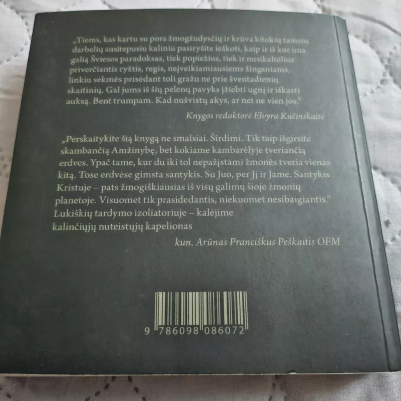 7 kvadratiniai metrai - Žygimantas Digaitis, knyga 4