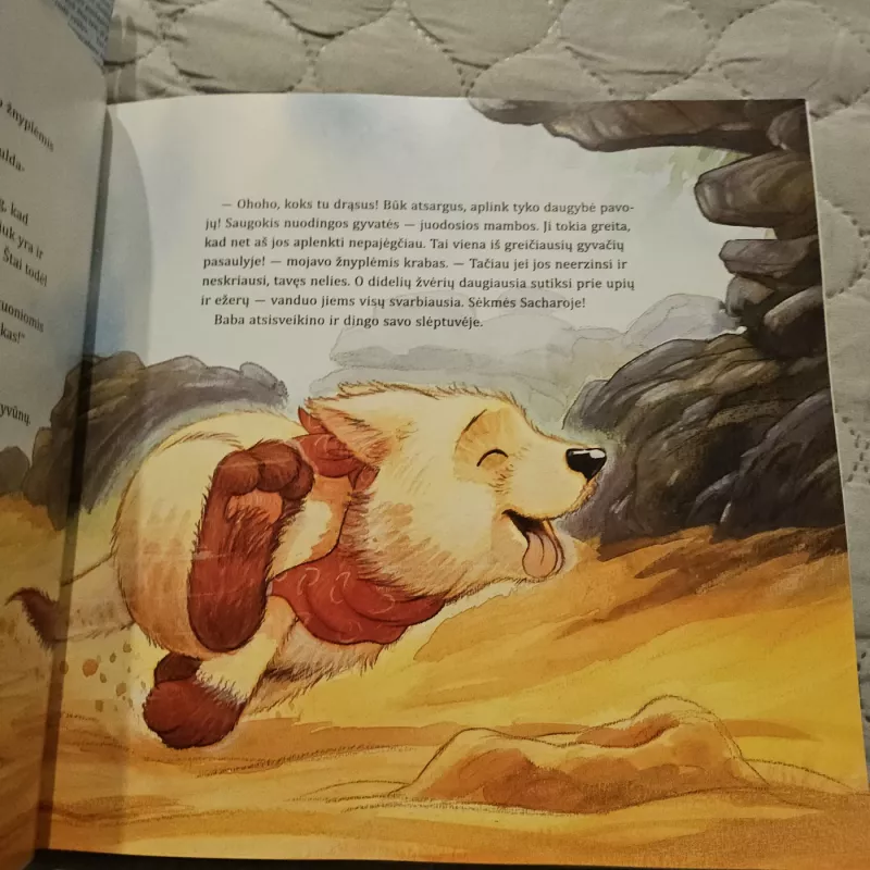 Šuniuko Vinco kelionė aplink pasaulį - Brigita Jovaišienė, knyga 3