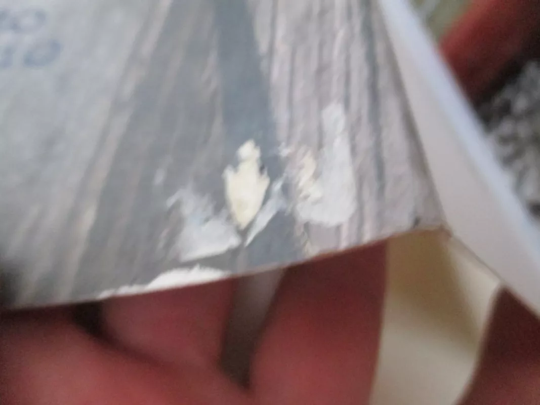 Dulkėto erškėčio ugny - Perpetua Dumšienė, knyga 5