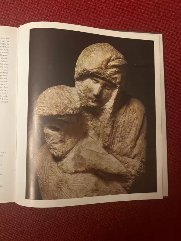 Michalengelo - Fritz Erpel, knyga 2