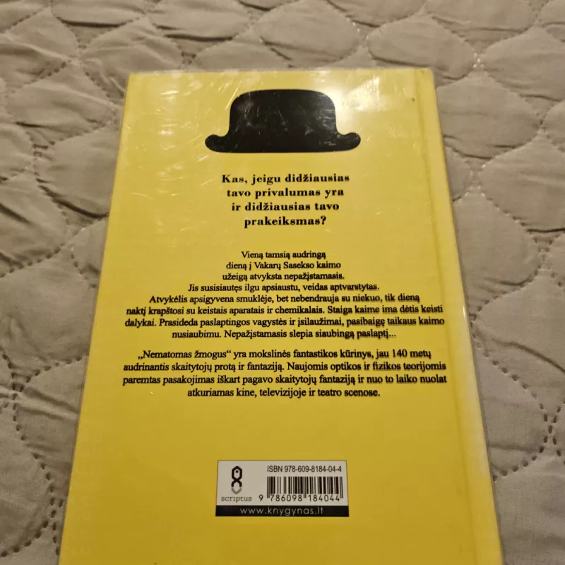 Nematomas žmogus - Herbert George Wells, knyga 4