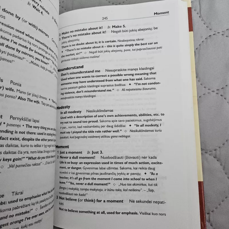 Anglų-lietuvių kasdienių frazeologizmų žodynas - Martin H. Manser, knyga 3