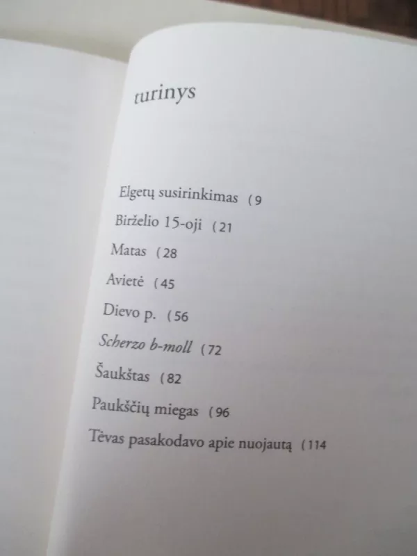 Paukščių miegas - Tomas Vaiseta, knyga 4