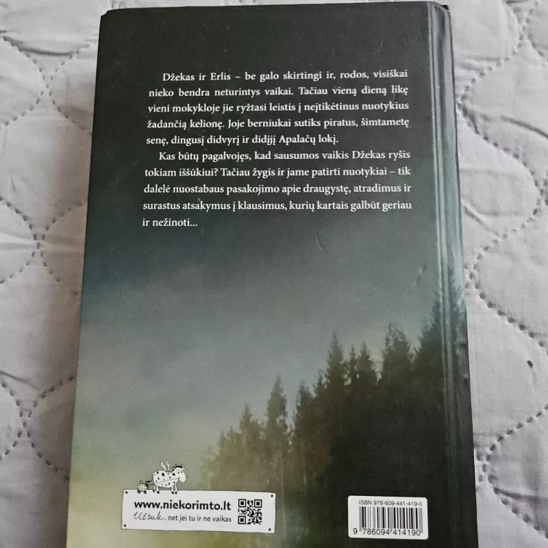 Laivavedys Erlis - Clare Vanderpool, knyga 5