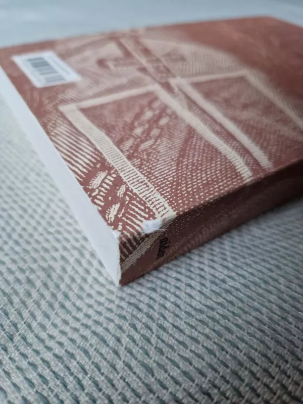 Ignotus Ignotas. Vilniaus vyskupas Ignotas Jokūbas Masalskis - Eligijus Raila, knyga 5