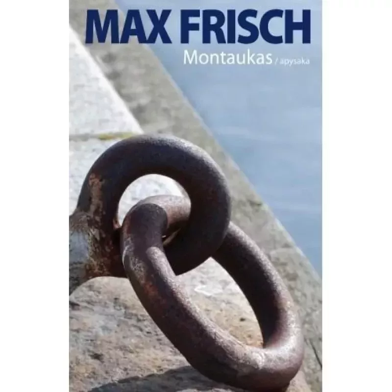Montaukas - Max Frisch, knyga