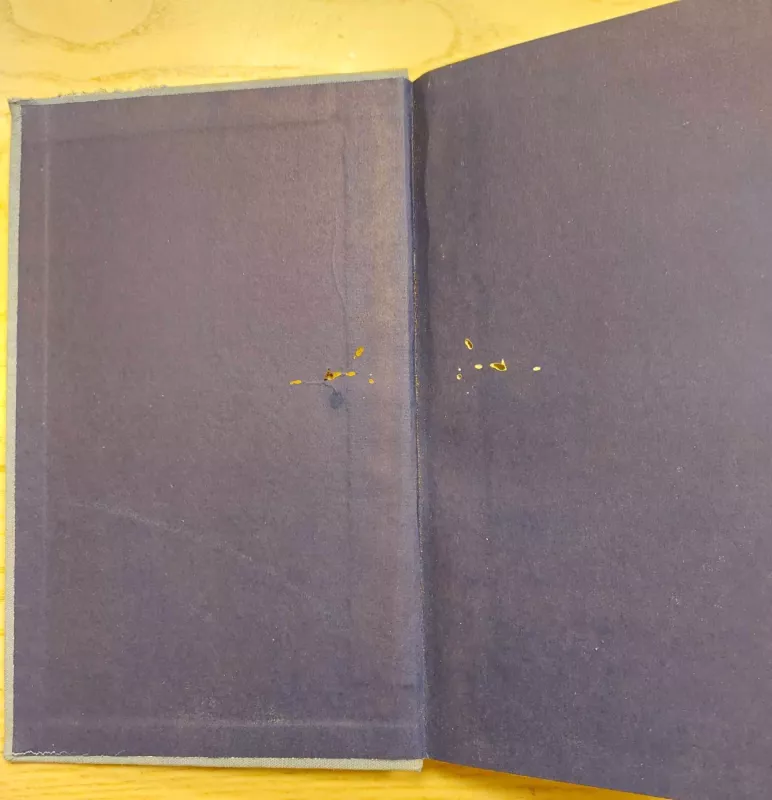 Nansenas - Juozas Jurginis, knyga 3