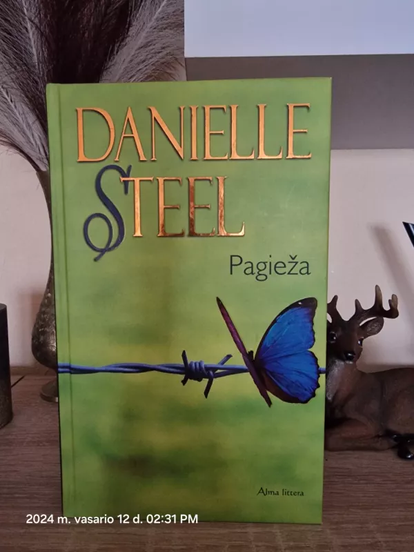 Pagieža - Danielle Steel, knyga