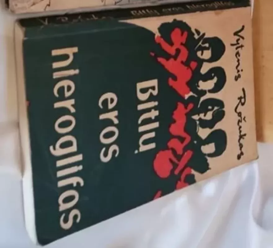 Bitlų eros hieroglifas - Vytenis Rožukas, knyga 3